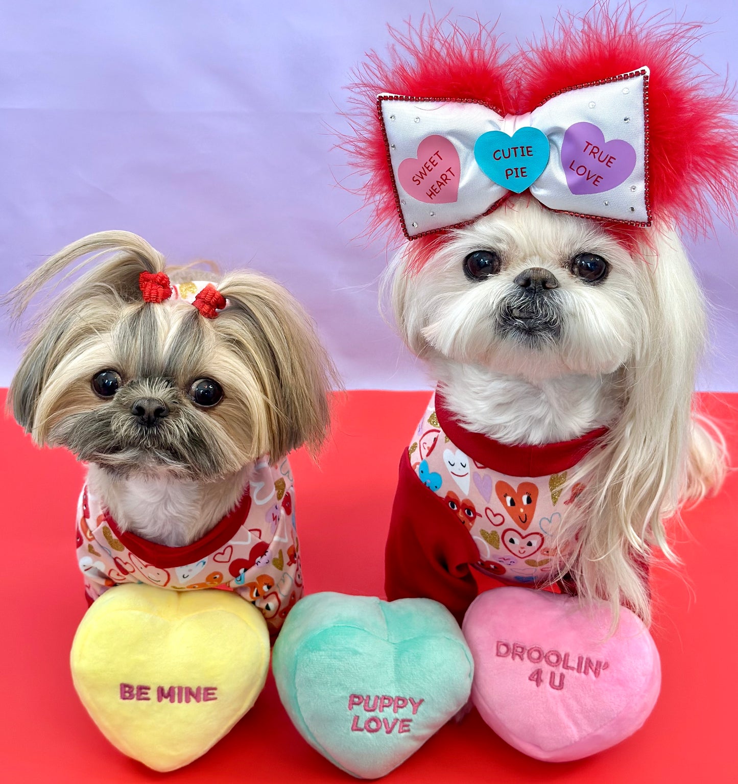 H.O.P Conversation Hearts Bow