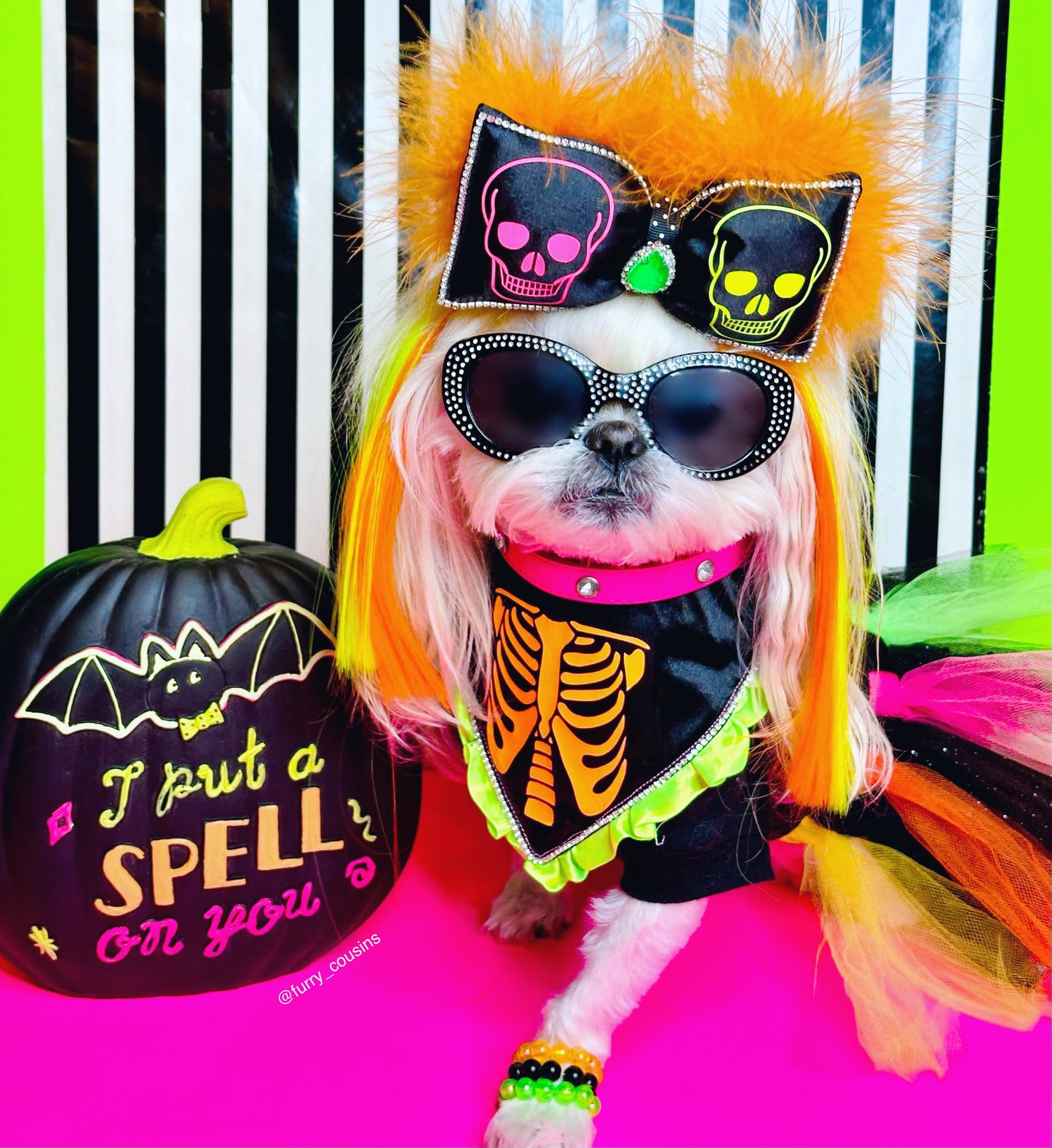 H.O.P Neon Skeleton Bow and Bandana