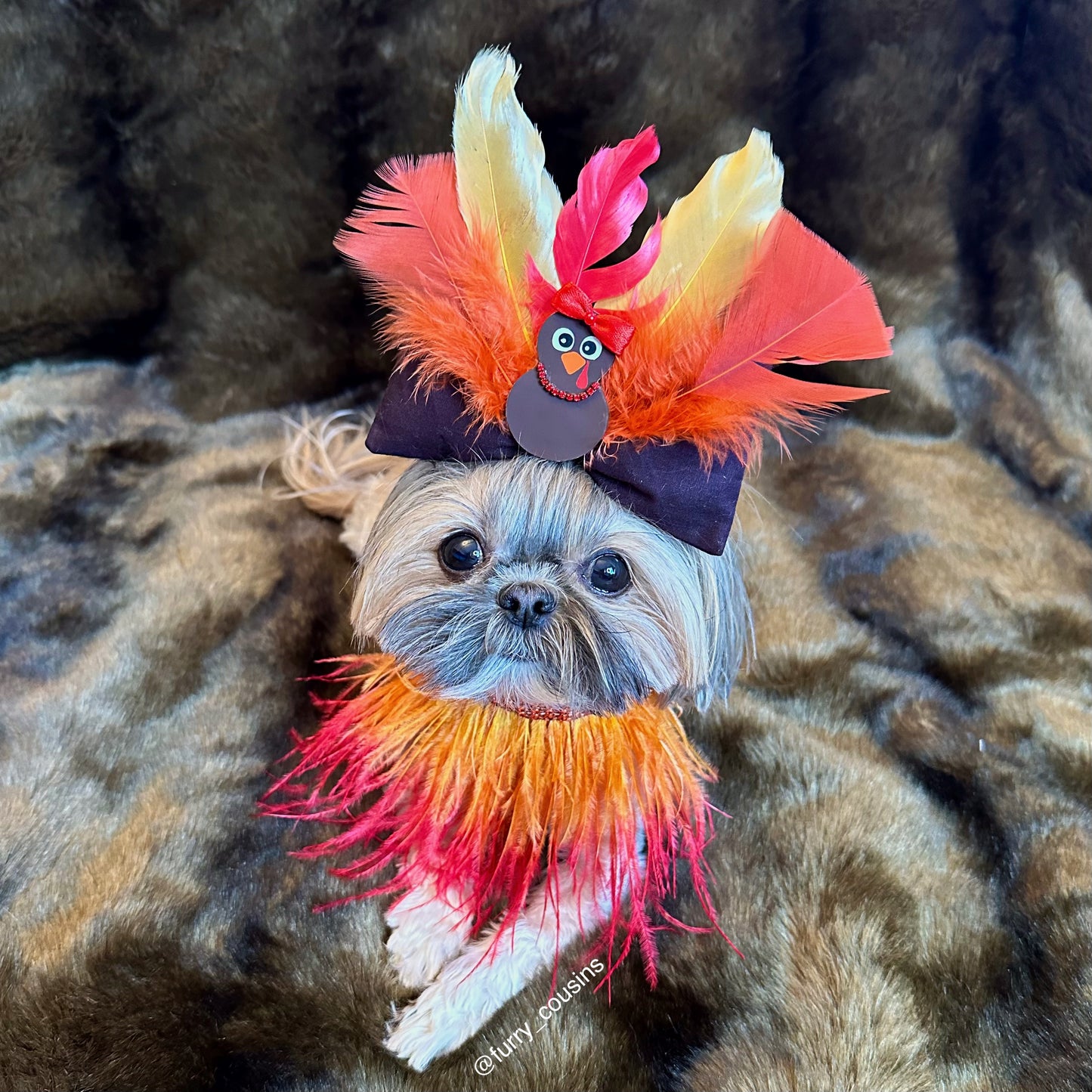 H.O.P Turkey Bow