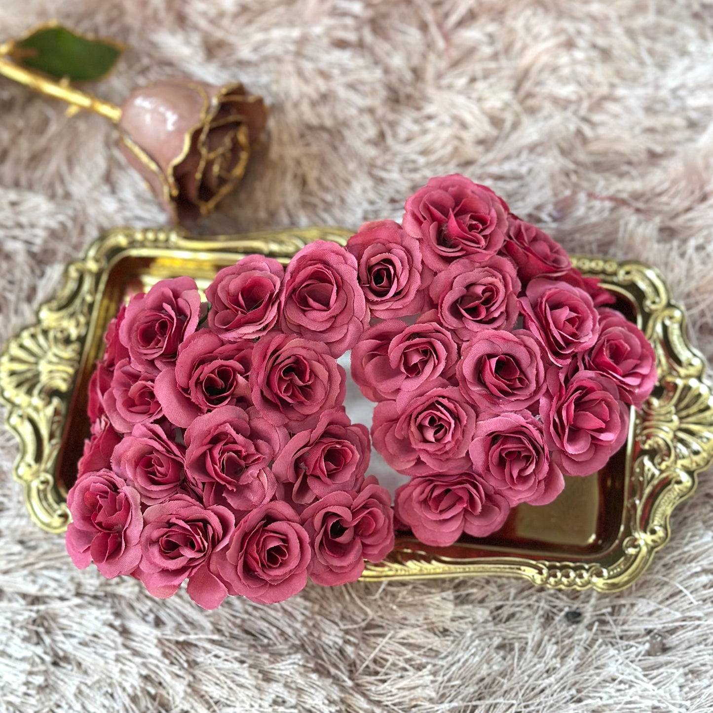 Eternal Rose Capelet - Full