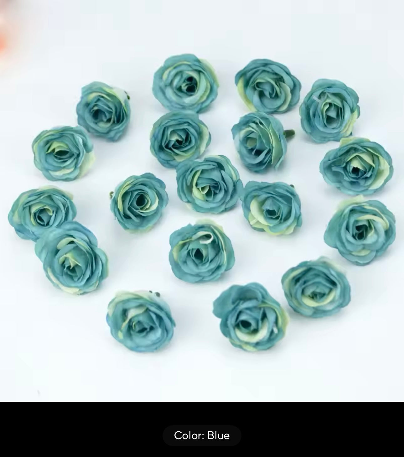 Eternal Rose Capelet - Outlined