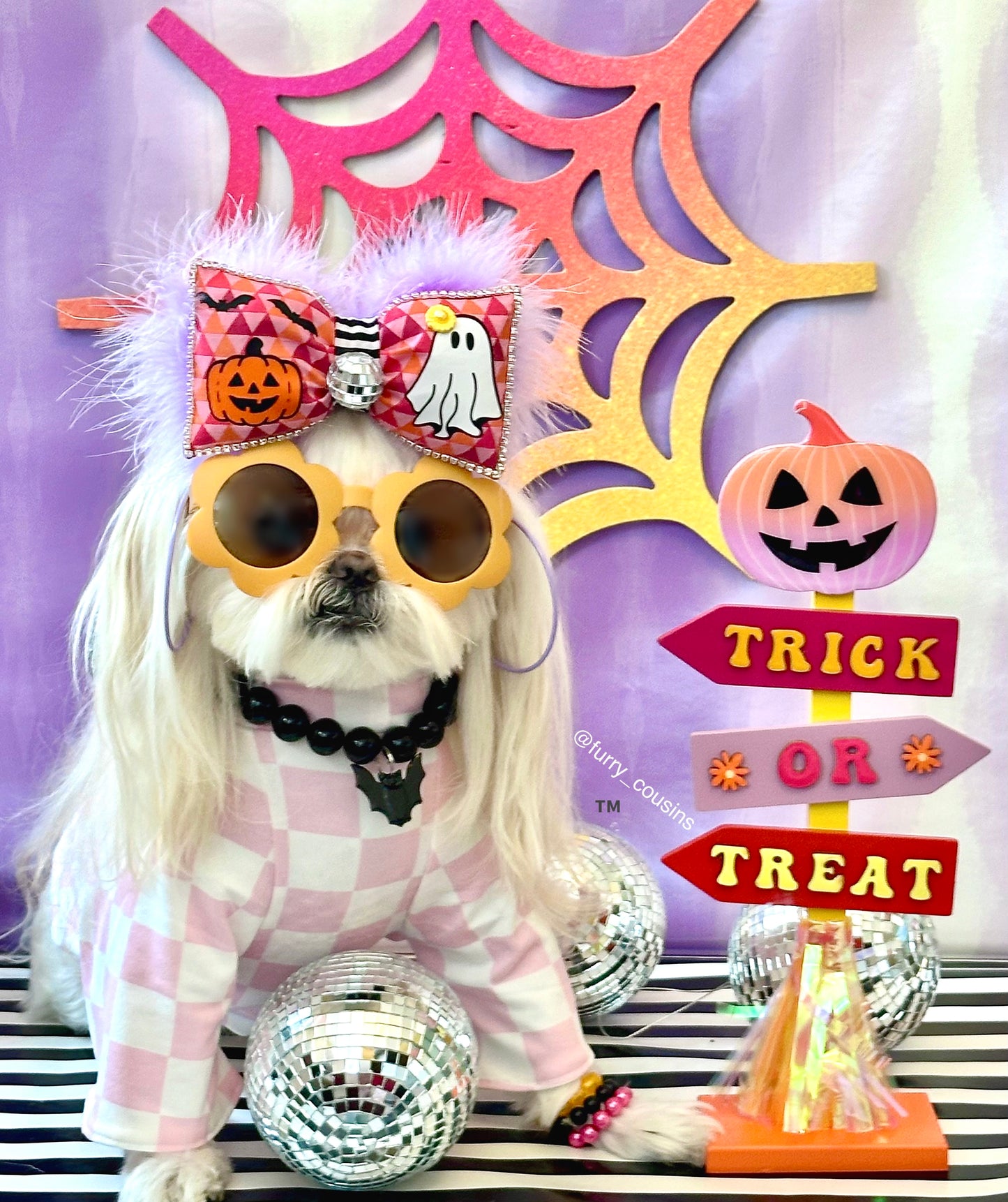 H.O.P Hippy Halloween Bow