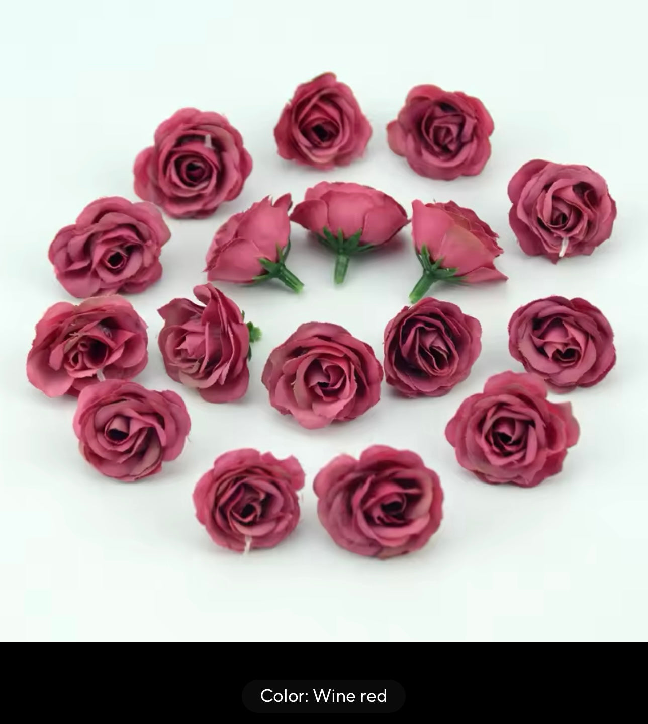 Eternal Rose Capelet - Outlined
