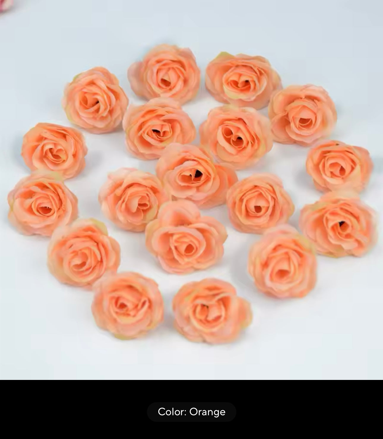 Eternal Rose Capelet - Full