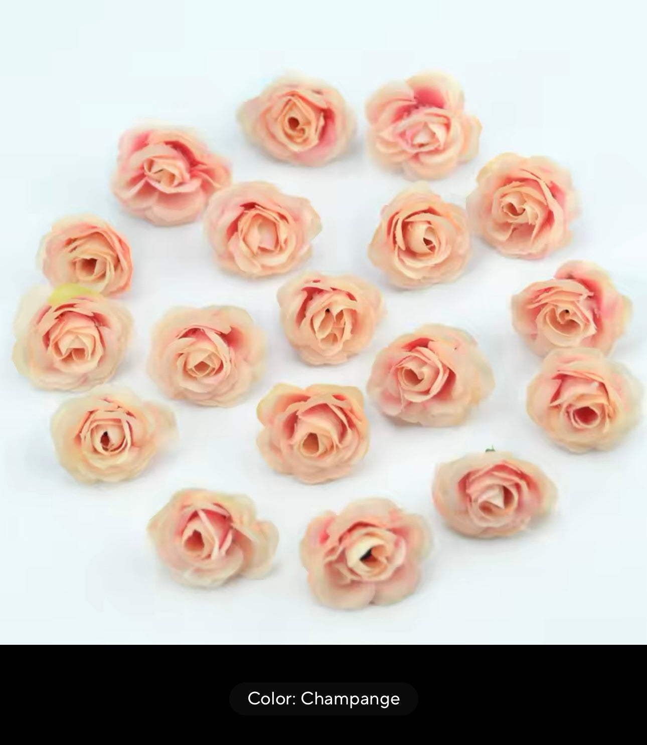 Eternal Rose Capelet - Outlined