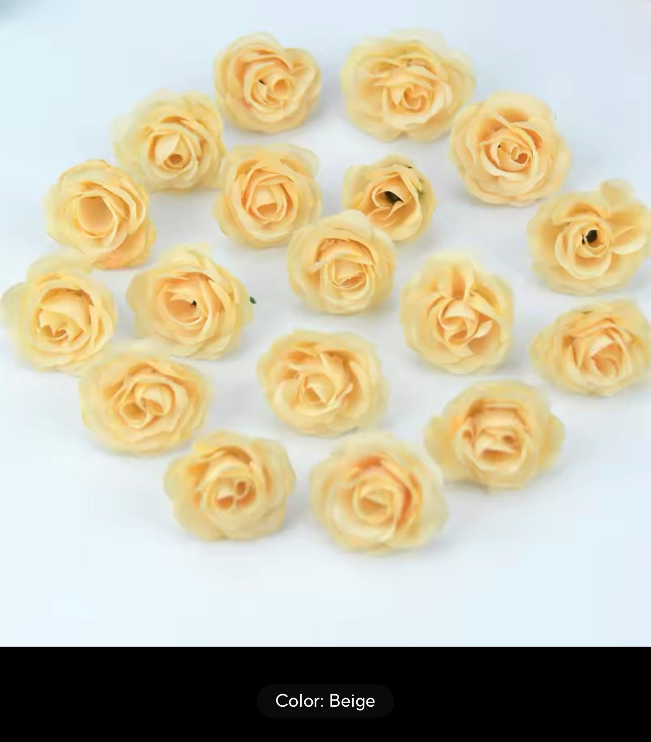 Eternal Rose Capelet - Outlined