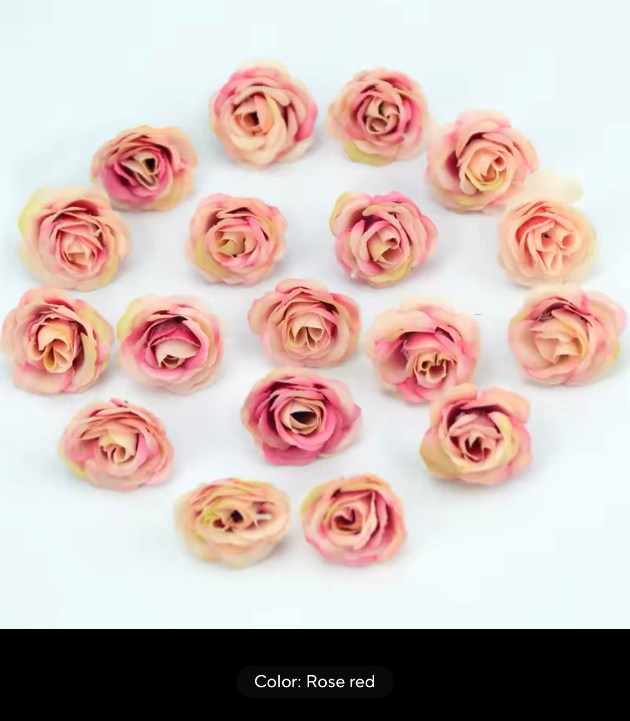 Eternal Rose Capelet - Full