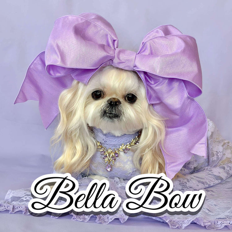 BELLA BOW