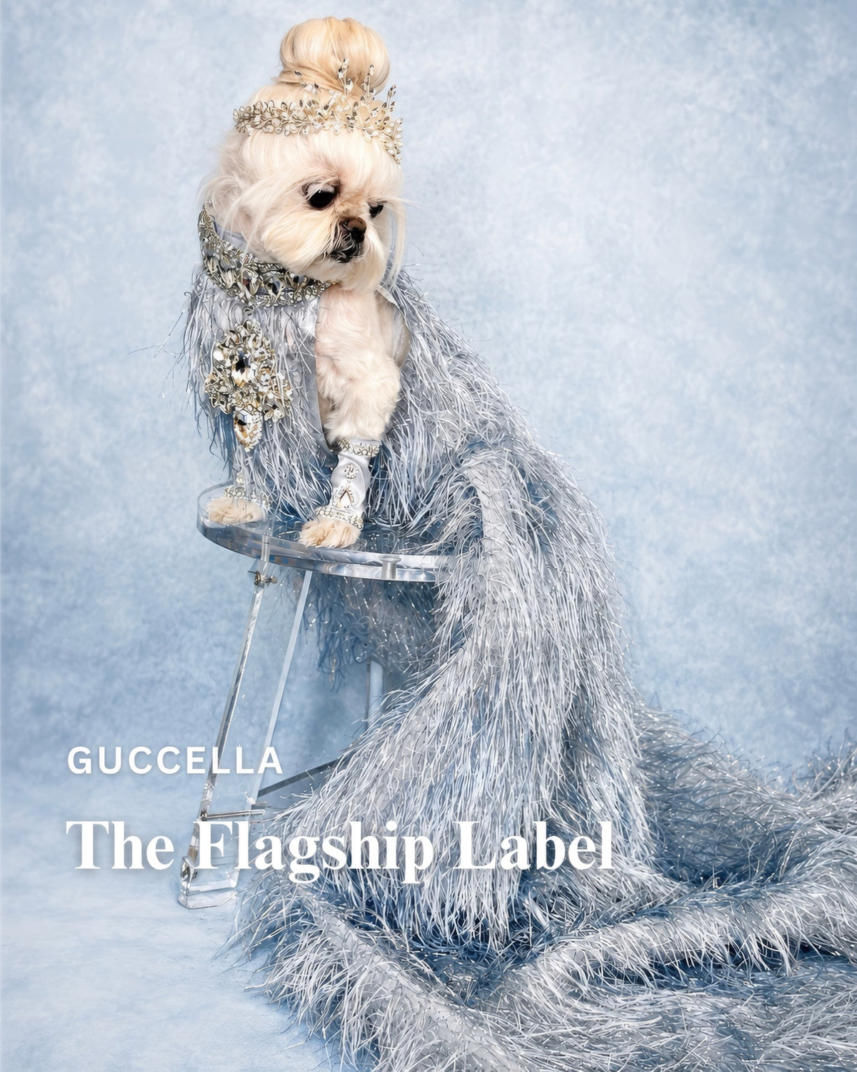 Guccella — The Flagship Label