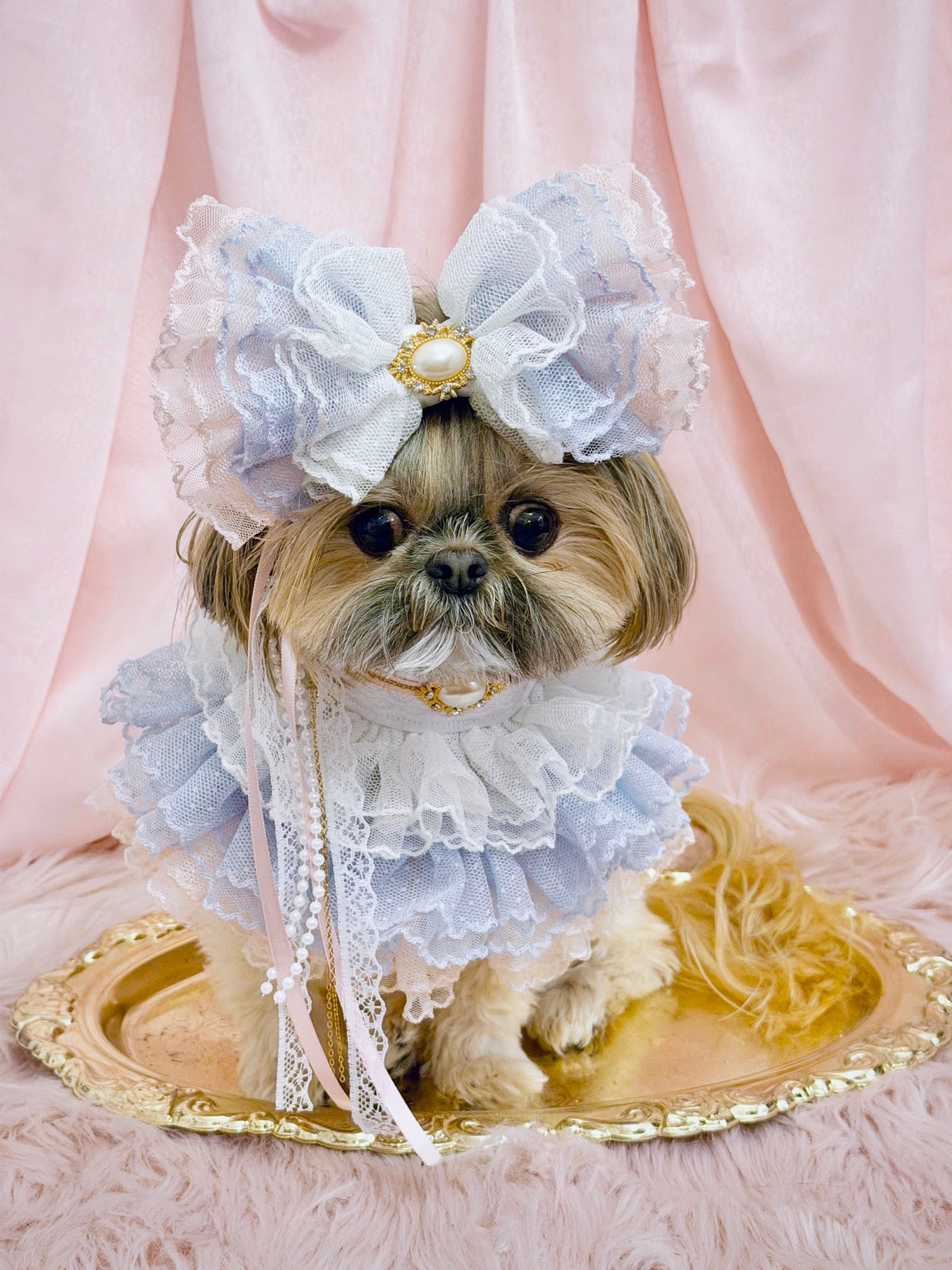 The Wrinklebottoms Ruffle Bow worn with the matching ruffle collar